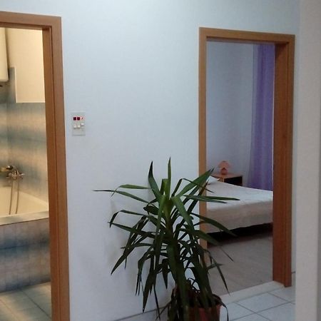 Spacious Family Apartment With Parking In The Shade And Barbecue House شيبينيك المظهر الخارجي الصورة